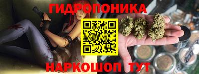 ПСИЛОЦИБИНОВЫЕ ГРИБЫ Заволжье