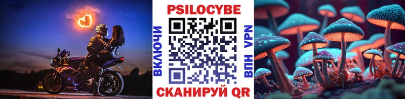 Псилоцибиновые грибы мицелий  Михайловск 