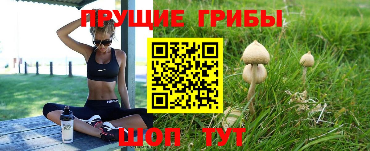 Михайловск  Галлюциногенные грибы MAGIC MUSHROOMS  Вход с VPN 